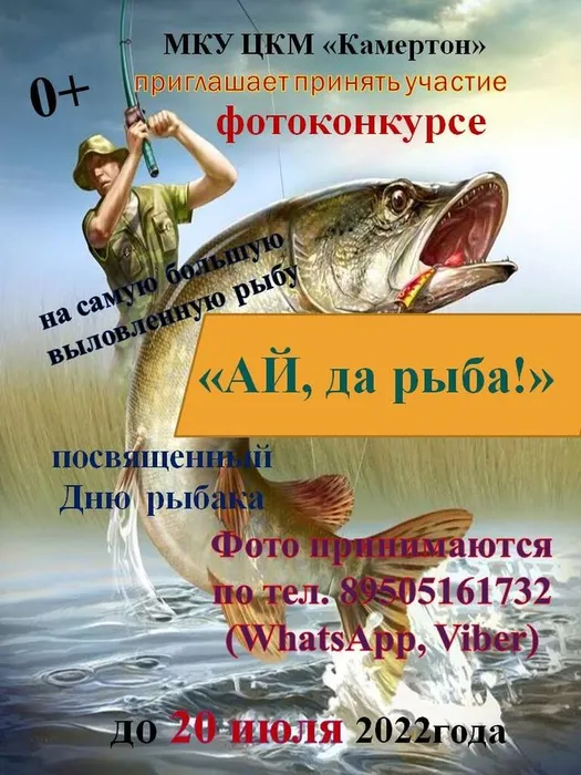 qiFiIH6fQio.jpg